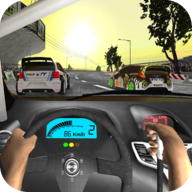 沥青路的拉力赛(Rally Racer Dirt) v2.0.4 最新版