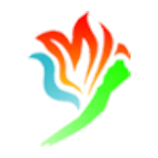 金阳融媒+app v1.1.3 最新版 金阳融媒+app v1.1.3 最新版