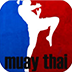 Wing Chun a泰拳搏击 v3.0 安卓版