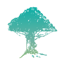 树兰医生工作站app v2.4.2 安卓版