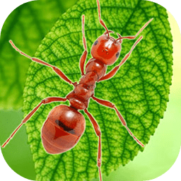 地下蚁国蚁族崛起 v3.0.0 最新版