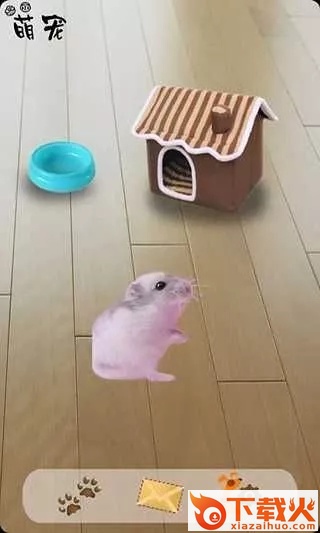 手机宠物可爱小仓鼠截图2