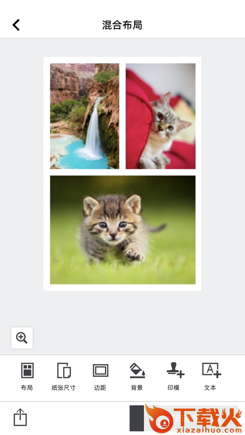 SELPHY Photo Layout app截图1