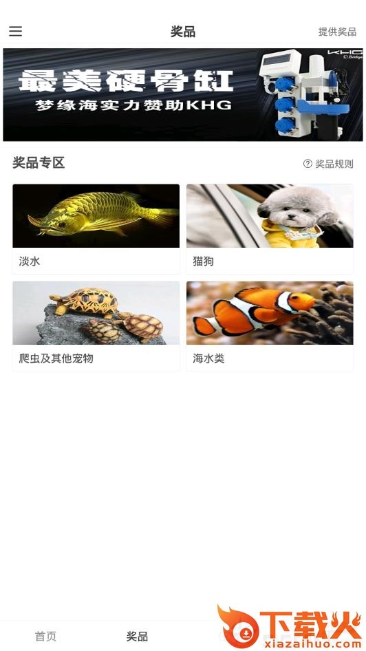 闲宠截图1