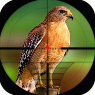 鸟类狩猎挑战Bird Hunting Challenge v1.0 安卓版 鸟类狩猎挑战Bird Hunting Challenge v1.0 安卓版