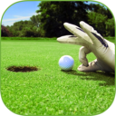 一起高尔夫 v1.2 安卓版