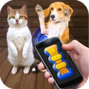 猫猫狗狗翻译器 v1.1 免费版 猫猫狗狗翻译器 v1.1 免费版