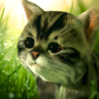 猫咪追寻Kitty Quest v0.81 安卓版