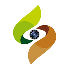 上犹县融媒体app v2.0.4 最新版