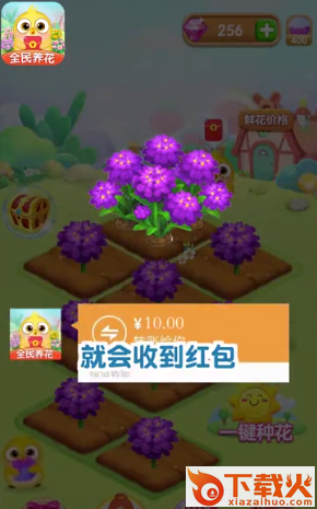 全民养花app截图1