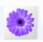 artweaver free绘图软件 v7.0.15 绿色便携版 