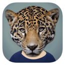可以变成动物脸的软件-Animal Face自带动物脸的拍照软件下载v2.5.3 最新版