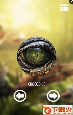 Vision animal simulator(视觉动物模拟器app下载)截图2