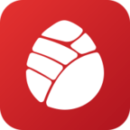 松果保险app下载-松果保险v1.0.0 安卓版