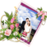 Love Wedding Photo Frames爱的婚礼相框 v1.1.0 安卓版