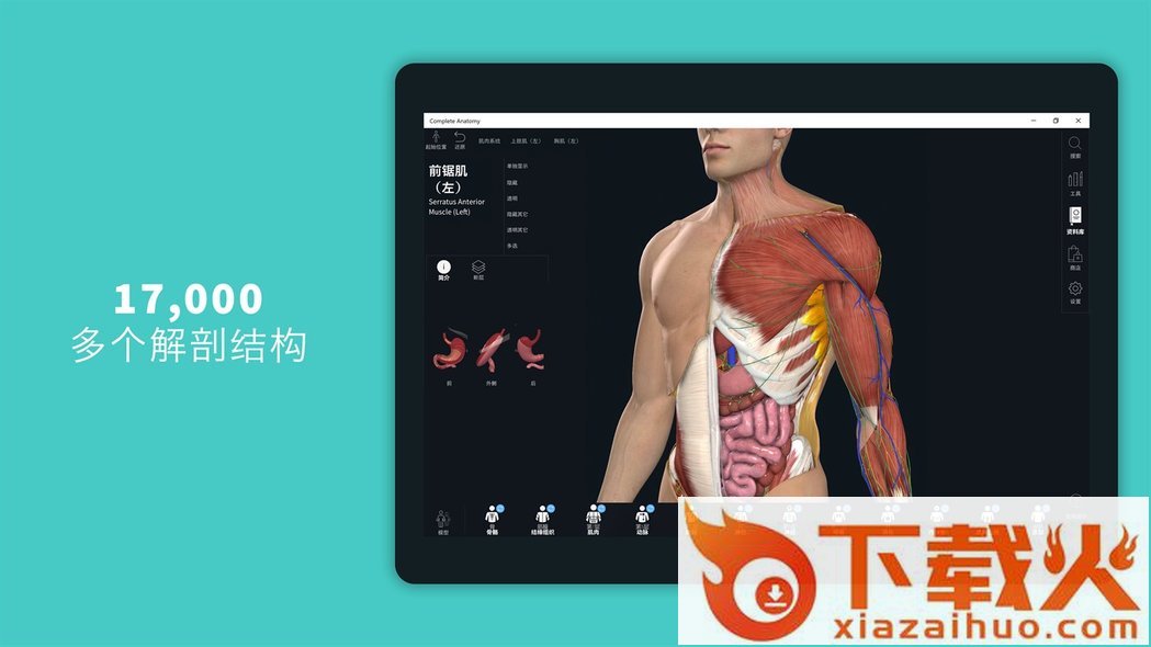 completeanatomy 2021中文版 v7.0.0 官方电脑版 截图1