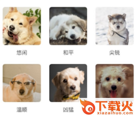 猫语狗语转换器截图3