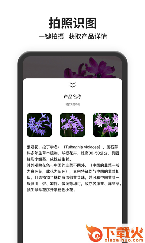 图片搜索app截图1