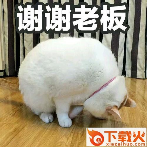 谢谢表情包可爱动态图