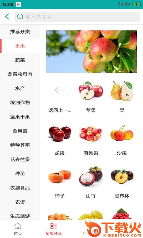 一品春风截图2