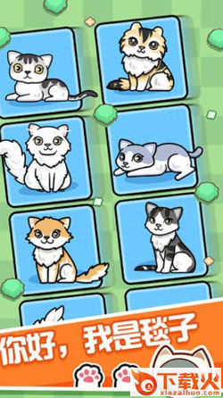 跑跑云养猫 v0.4 安卓版截图1