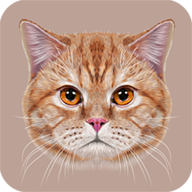 学猫叫翻译器app下载-学猫叫翻译器v1.9 安卓版