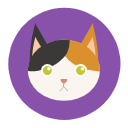 分享喵 v1.0.0.4 最新版