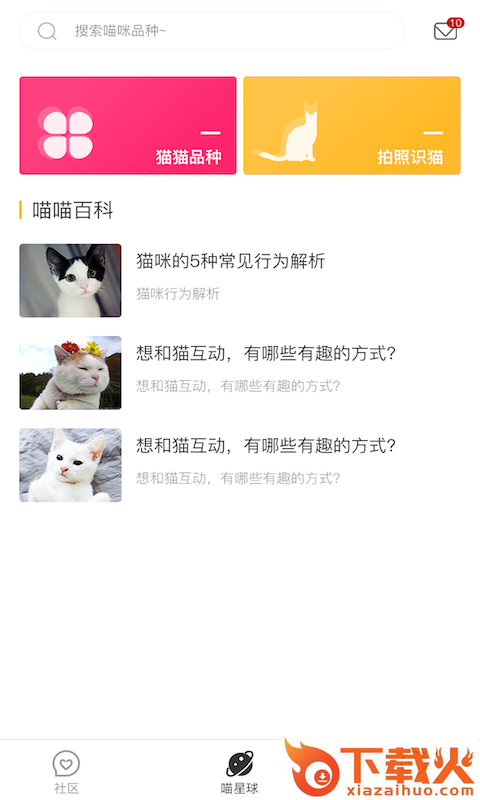 云养猫截图1