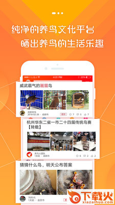 养鸟人截图2