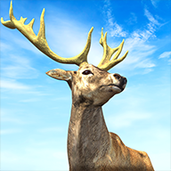 猎王狂野射手(Hunting King Wild Archery) v1.8 安卓版 猎王狂野射手(Hunting King Wild Archery) v1.8 安卓版