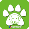 纯种犬ios-纯种犬(宠物商城)(暂未上线)v1.7 苹果手机版
