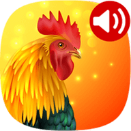 动物铃声 v3.5 免费版