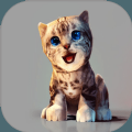 真实小猫3D模拟手游下载-真实小猫3D模拟v1.0 3D版