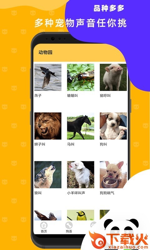 猫狗翻译神器截图2