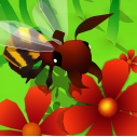 蜜蜂进化3D小游戏 v1.0 最新版