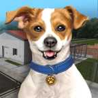 动物收容所游戏(Animal Shelter Simulator) v1.00 安卓版