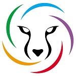花豹vip借款下载-花豹vip极速版v1.6 安卓版