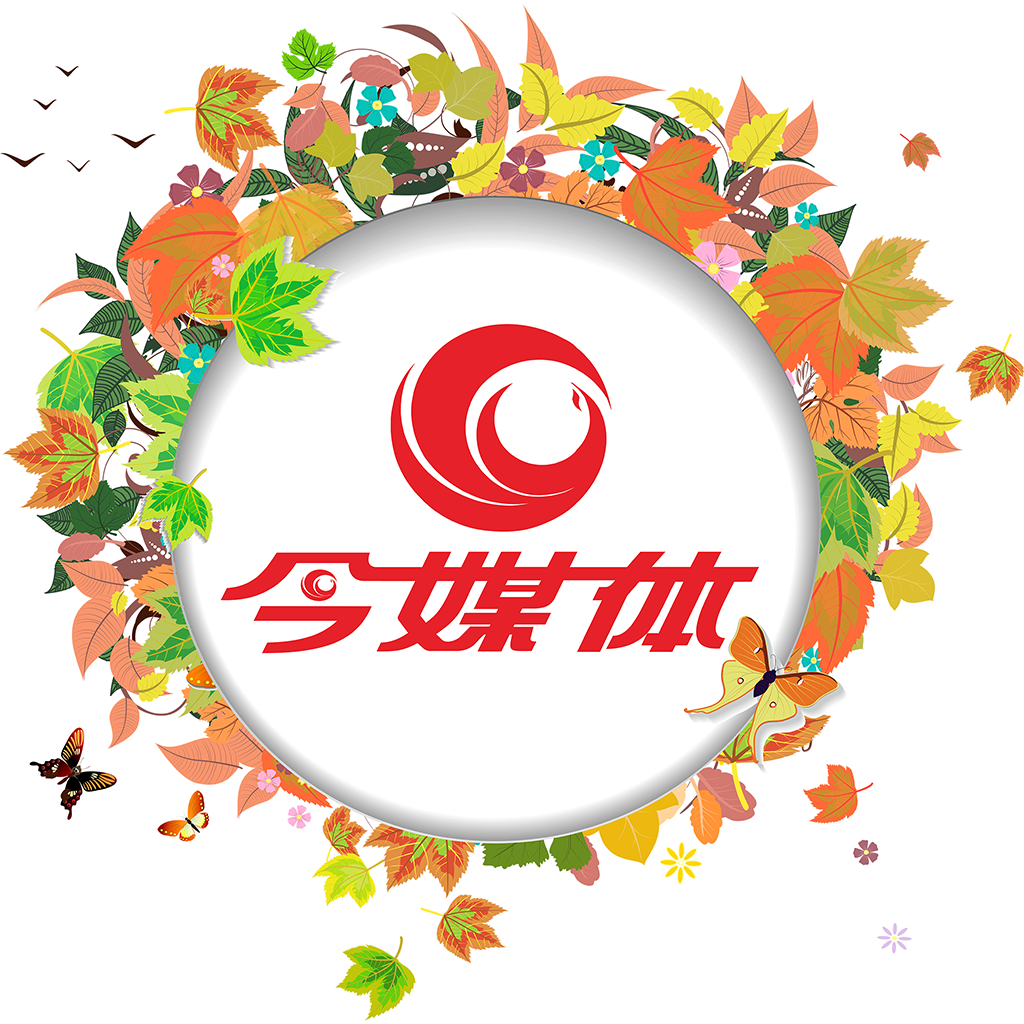 黔江今媒体官方下载-今媒体appv5.1.7 安卓版