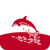 红海豚官方最新版-红海豚appv1.0 安卓版