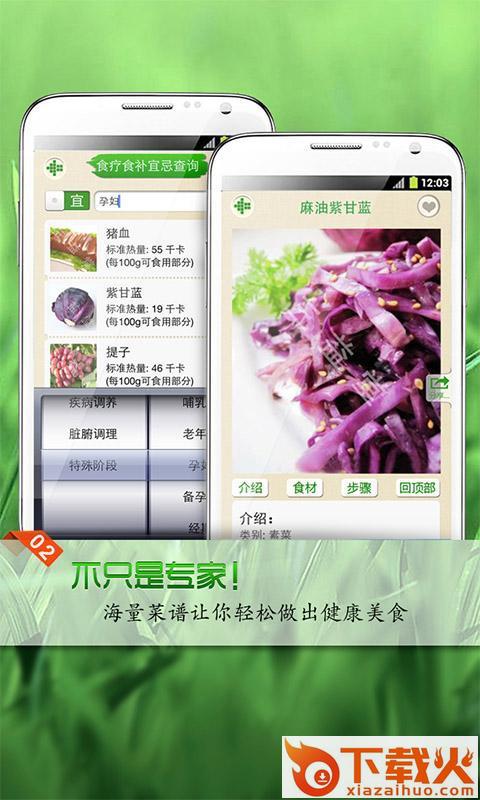 养生菜谱宝典HD截图1