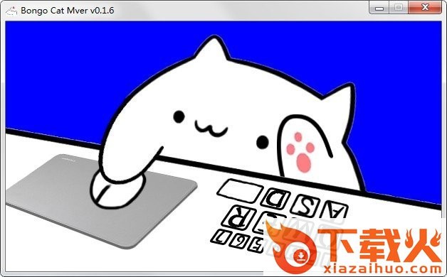 手鼓猫