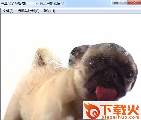 小狗舔屏电脑动态壁纸