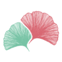 春秋家谱 v1.0.5 安卓版