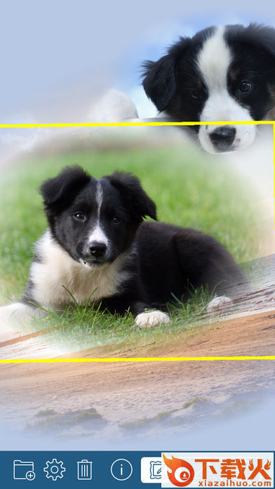 PhotoTangler Collage Maker app下载截图1