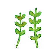 拜师学app下载-拜师学v1.7 安卓版