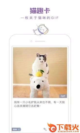 一日猫app截图2