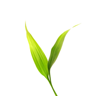 微博士家长端app安卓下载-微博士家长端appv5.1.3 最新版
