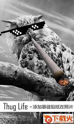 Thug life photo sticker maker大金链子墨镜雪茄软件下载截图1