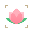 识花君app免费下载-识花君拍照识别植物v1.2.6 安卓版