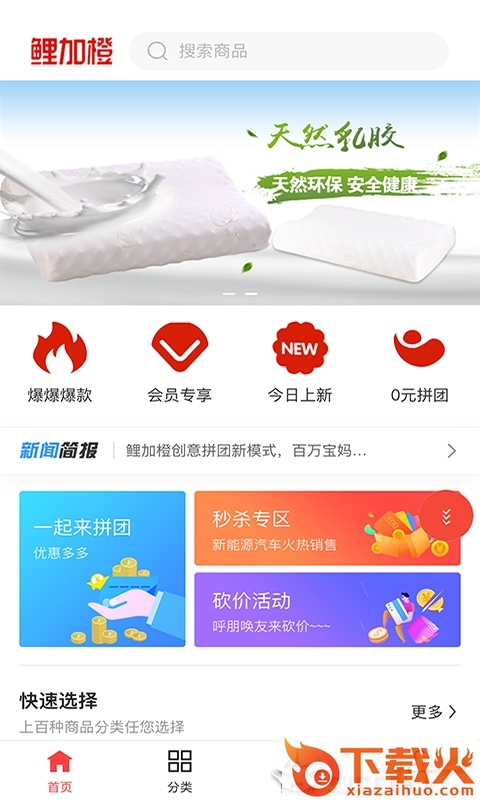 鲤加橙截图1
